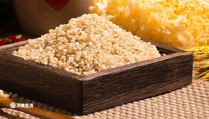 糙米怎么吃 糙米怎么吃比较好