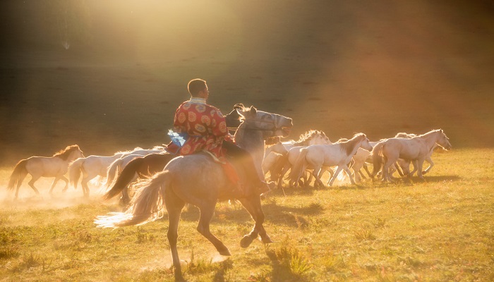 蒙古族的生活习俗 蒙古人的习俗