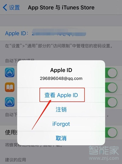 苹果设置订阅服务在哪