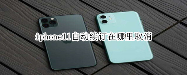 iphone11自动续订在哪里取消