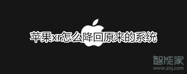 苹果xr怎么降回原来的系统