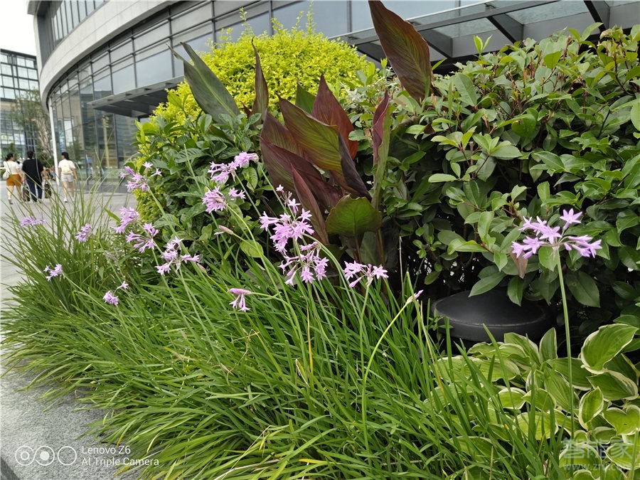 联想z6主摄像头像素是多少