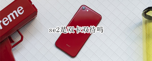 se2是双卡双待吗