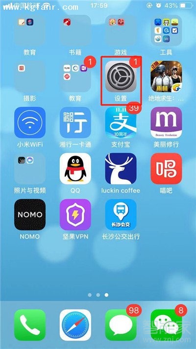 iphonexr还能设置动态壁纸吗