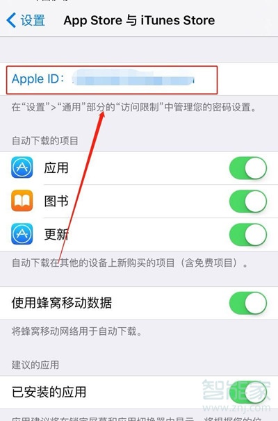 苹果设置订阅服务在哪