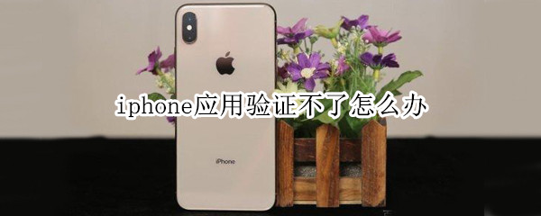 iphone应用验证不了怎么办