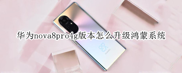 华为nova8pro4g版本怎么升级鸿蒙系统