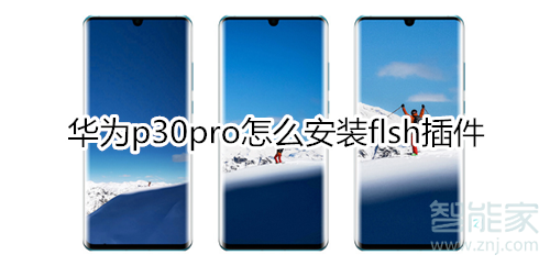 华为p30pro怎么安装Flash插件