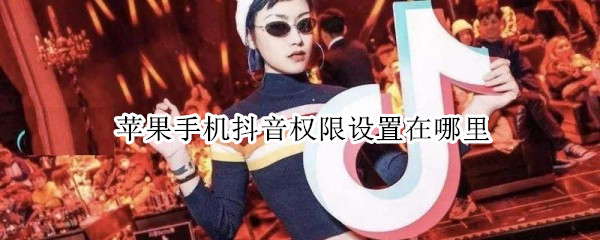 苹果手机抖音权限设置在哪里