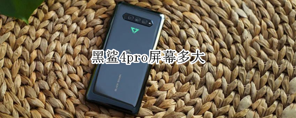 黑鲨4pro屏幕多大