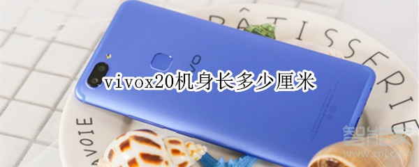 vivox20机身长多少厘米