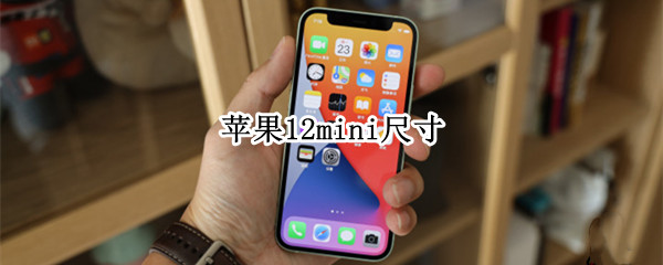 苹果12mini尺寸