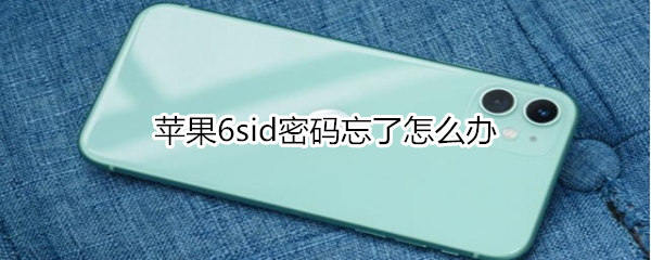 苹果6sid密码忘了怎么办