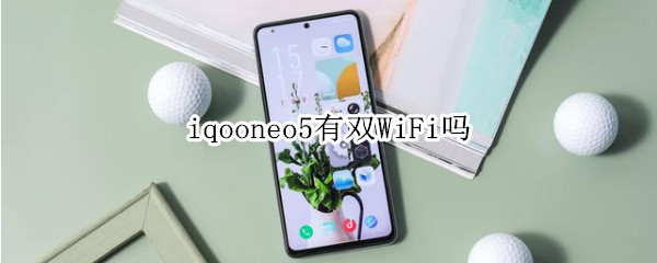 iqooneo5有双WiFi吗