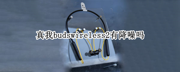 真我budswireless2有降噪吗