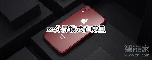 xr分屏模式在哪里