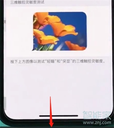 iphone11怎么开启半屏功能