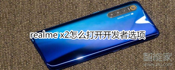 realme x2怎么打开开发者选项