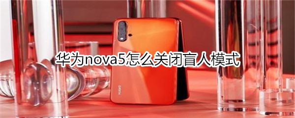 华为nova5怎么关闭盲人模式
