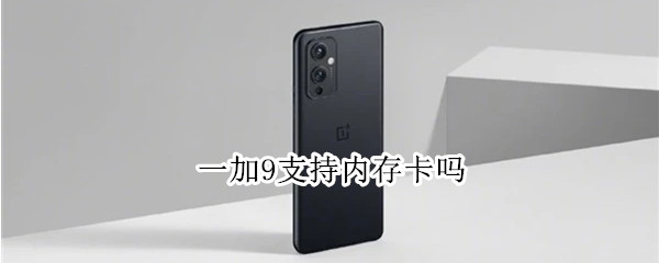 一加9支持内存卡吗
