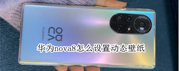 华为nova8怎么设置动态壁纸