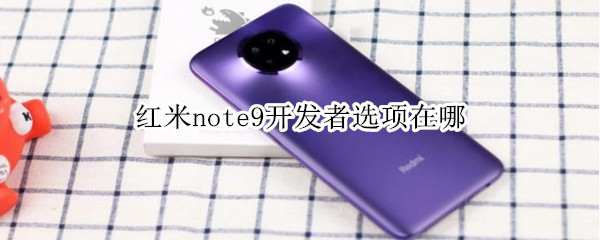 红米note9开发者选项在哪