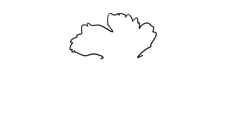葡萄叶子简笔画 葡萄叶子的简单画法