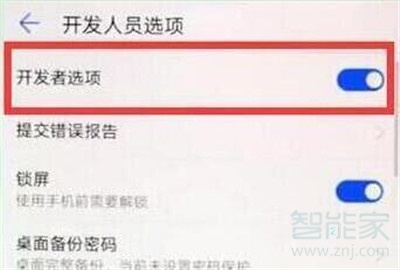 华为nova5i怎么打开开发者选项