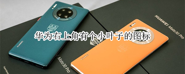 华为右上角有个小叶子的图标