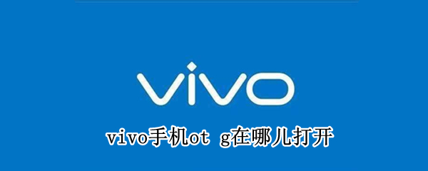 vivo手机ot g在哪儿打开