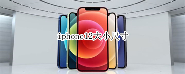 iphone12大小尺寸