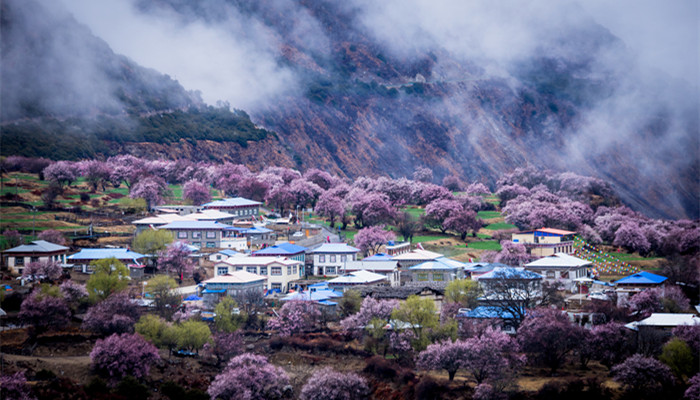 仿佛若有光的仿佛什么意思 桃花源记描写了什么
