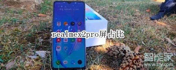 realmex2pro屏占比