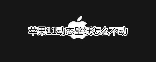 苹果11动态壁纸怎么不动