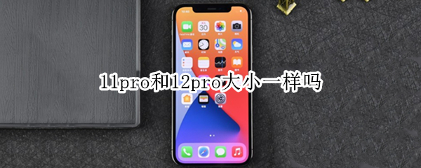 11pro和12pro大小一样吗