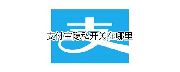 支付宝隐私开关在哪里