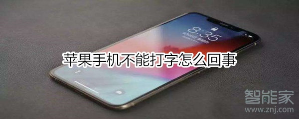 苹果手机不能打字怎么回事