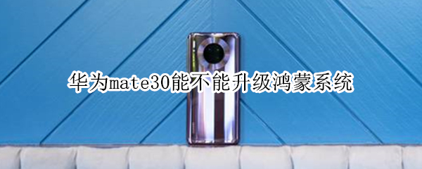 华为mate30能不能升级鸿蒙系统