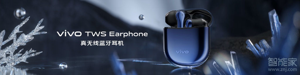 vivox30pro有耳机孔吗