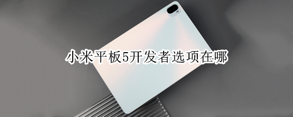 小米平板5开发者选项在哪