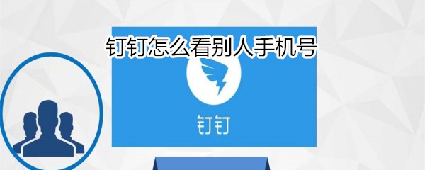 钉钉怎么看别人手机号