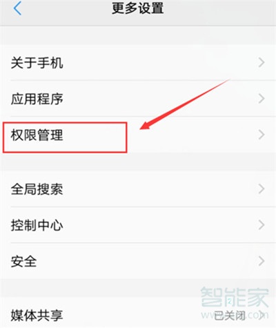 vivoz3x怎么设置应用权限