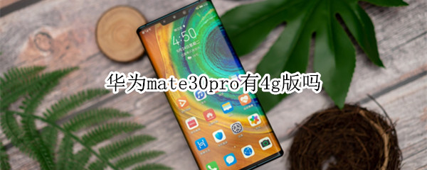 华为mate30pro有4g版吗
