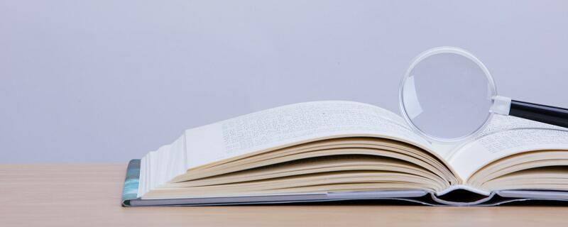 kitty英文名中文意思 kitty英文名的中文意思是什么