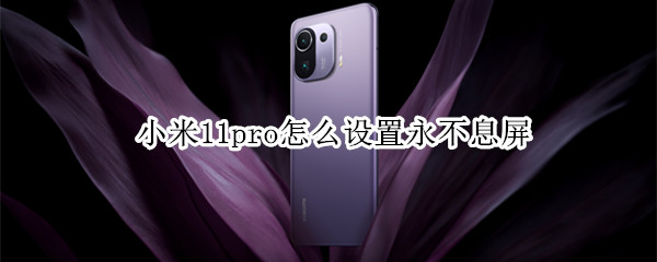 小米11pro怎么设置永不息屏