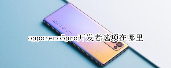 opporeno5pro开发者选项在哪里