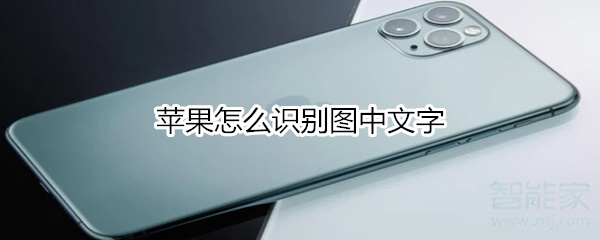 苹果怎么识别图中文字