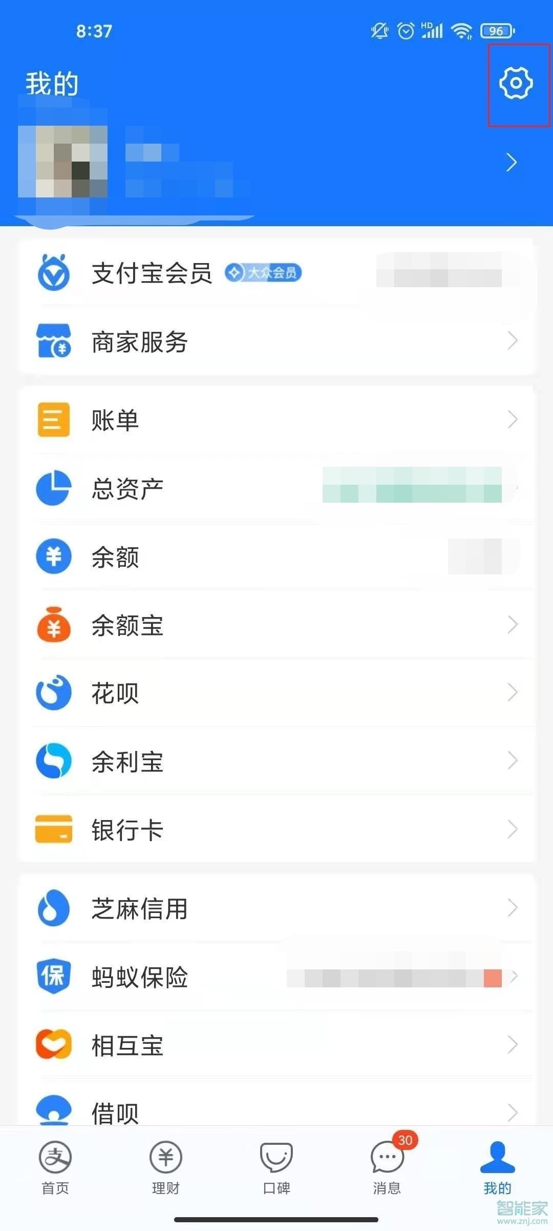 支付宝怎么看自动续费的东西