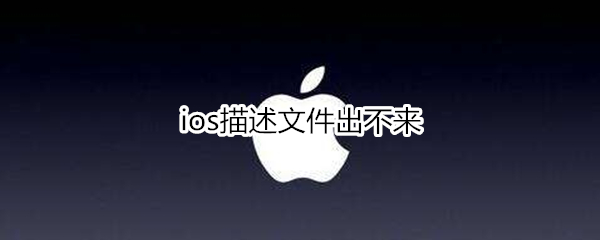 ios描述文件出不来