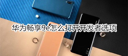 华为畅享9e怎么打开开发者选项